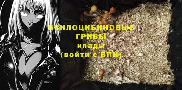ГАЛЛЮЦИНОГЕННЫЕ ГРИБЫ Лагань