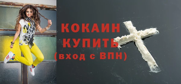 ГАЛЛЮЦИНОГЕННЫЕ ГРИБЫ Лагань