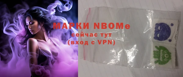 ГАЛЛЮЦИНОГЕННЫЕ ГРИБЫ Лагань