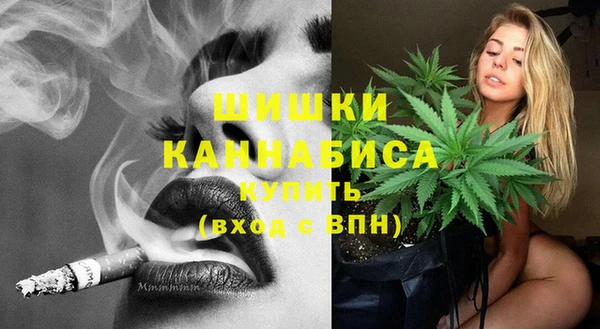 винт Лабытнанги