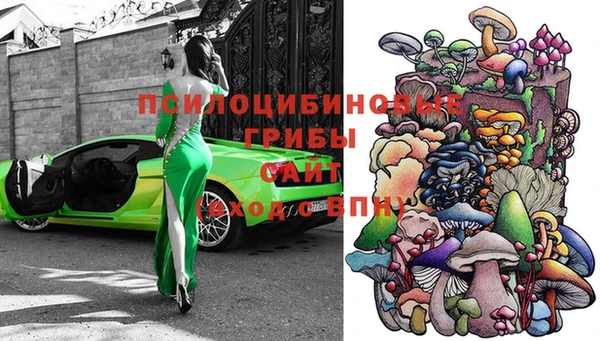 ГАЛЛЮЦИНОГЕННЫЕ ГРИБЫ Лагань