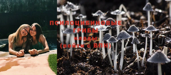 МДПВ Ладушкин