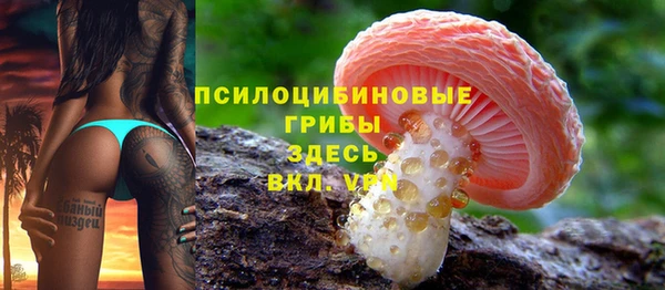 винт Лабытнанги