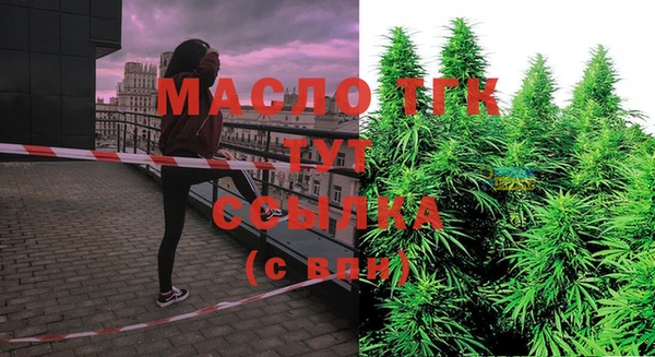 винт Лабытнанги