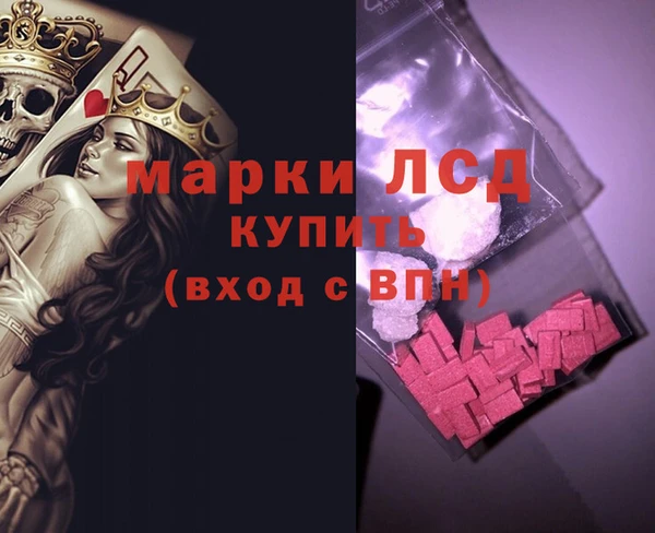 ГАЛЛЮЦИНОГЕННЫЕ ГРИБЫ Лагань