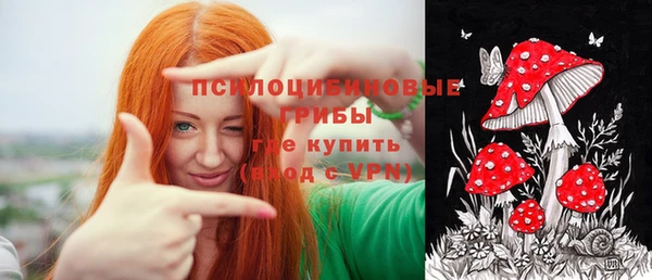 ГАЛЛЮЦИНОГЕННЫЕ ГРИБЫ Лагань