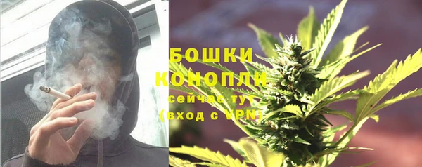 винт Лабытнанги